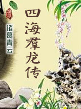 四海群龙传